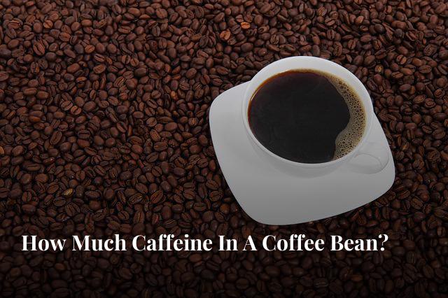 Which coffee has the most caffeine